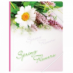 Папка на резинке Berlingo "Spring Flowers" А4, 550мкм арт ANp_01431
